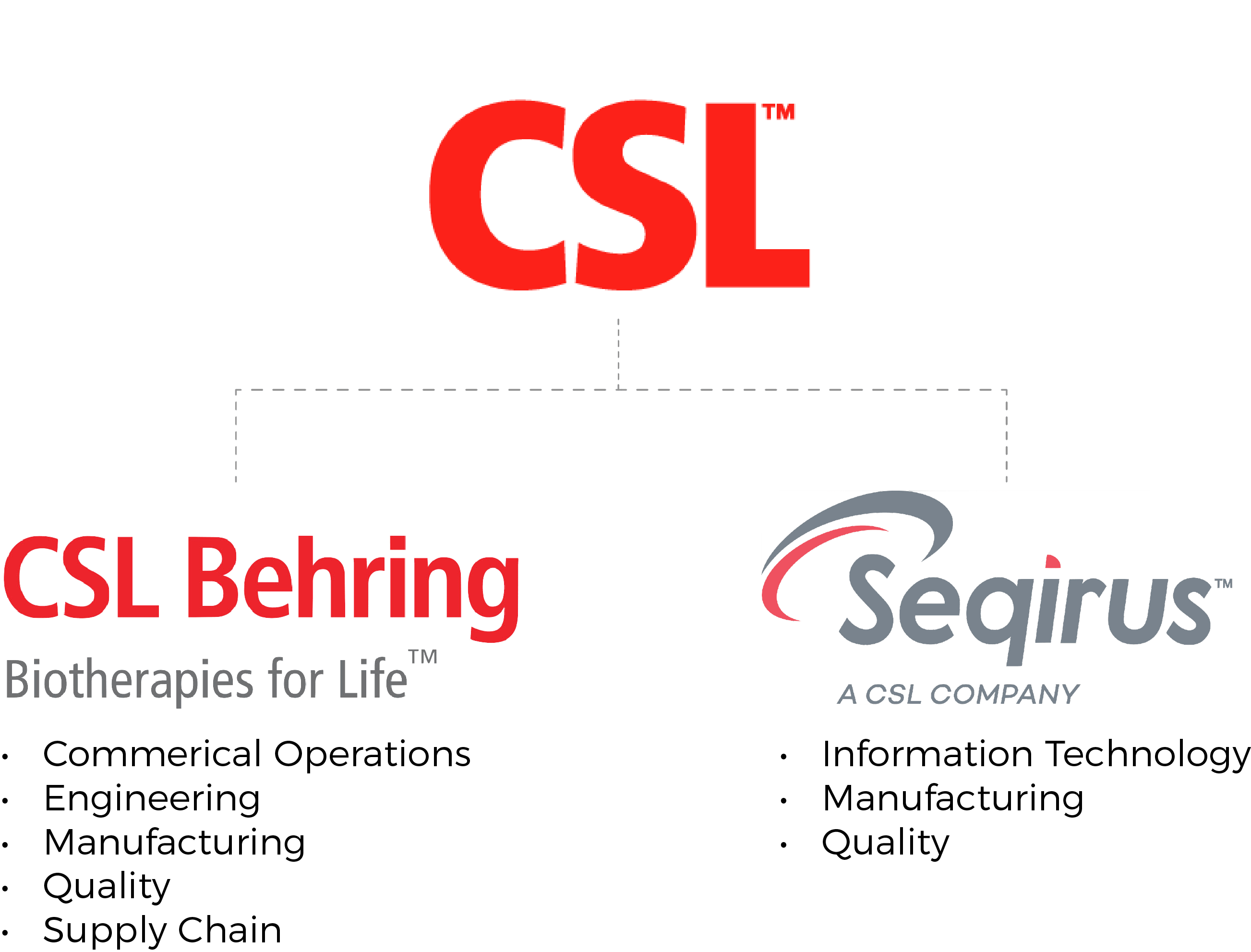 CSL 2019 Graduate Program Image displaying the graduate streams available