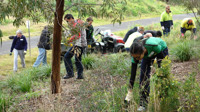 CSL employees cleaning up
