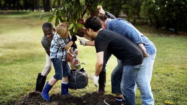 People planting a tree