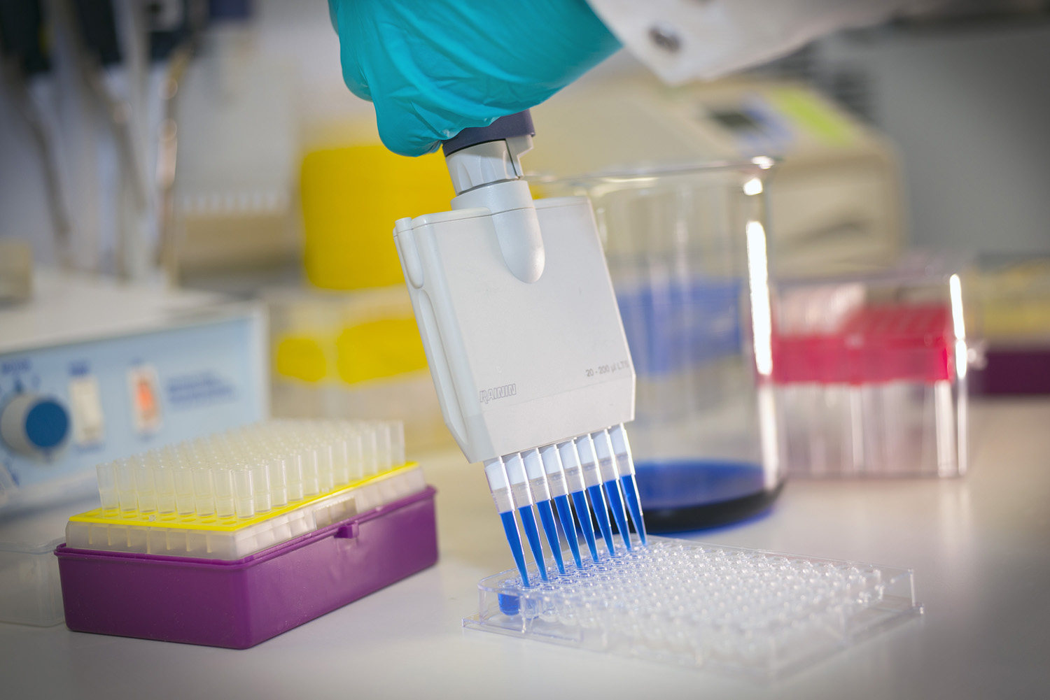 image of a hand using a multiple pipetting tool