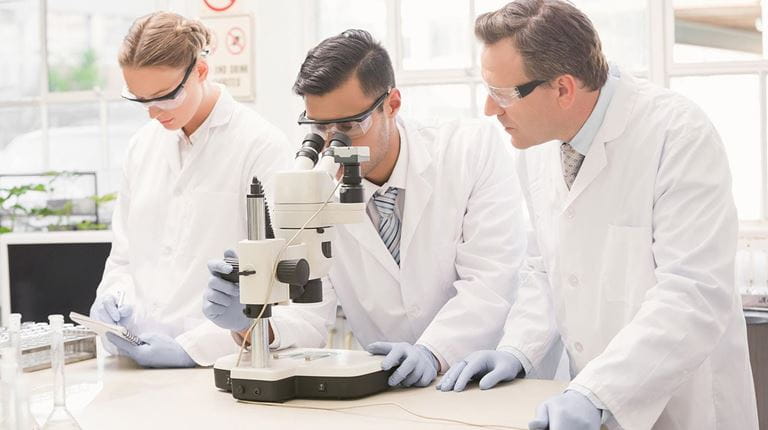 Scientists and Researchers