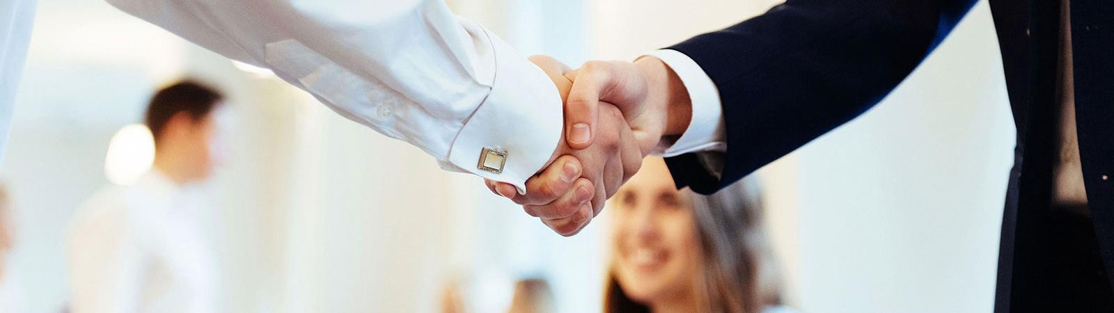 Two people shaking hands